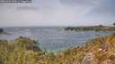 ./images/calvert/foggy-cove/20260429/foggy-cove20260429_134501M.jpg