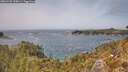 ./images/calvert/foggy-cove/20260429/foggy-cove20260429_135001M.jpg