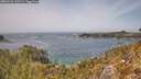 ./images/calvert/foggy-cove/20260429/foggy-cove20260429_135501M.jpg