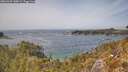 ./images/calvert/foggy-cove/20260429/foggy-cove20260429_140001M.jpg
