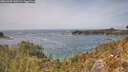 ./images/calvert/foggy-cove/20260429/foggy-cove20260429_140501M.jpg