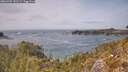 ./images/calvert/foggy-cove/20260429/foggy-cove20260429_141501M.jpg