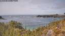 ./images/calvert/foggy-cove/20260429/foggy-cove20260429_142001M.jpg