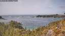 ./images/calvert/foggy-cove/20260429/foggy-cove20260429_142501M.jpg