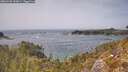 ./images/calvert/foggy-cove/20260429/foggy-cove20260429_143001M.jpg