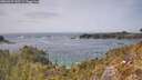 ./images/calvert/foggy-cove/20260429/foggy-cove20260429_143501M.jpg