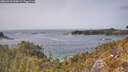 ./images/calvert/foggy-cove/20260429/foggy-cove20260429_144501M.jpg