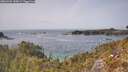 ./images/calvert/foggy-cove/20260429/foggy-cove20260429_145001M.jpg