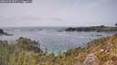 ./images/calvert/foggy-cove/20260429/foggy-cove20260429_150501M.jpg