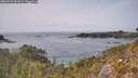 ./images/calvert/foggy-cove/20260429/foggy-cove20260429_151001M.jpg