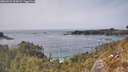 ./images/calvert/foggy-cove/20260429/foggy-cove20260429_152002M.jpg