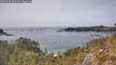 ./images/calvert/foggy-cove/20260429/foggy-cove20260429_152502M.jpg