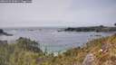 ./images/calvert/foggy-cove/20260429/foggy-cove20260429_153001M.jpg