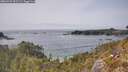 ./images/calvert/foggy-cove/20260429/foggy-cove20260429_153501M.jpg