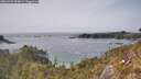 ./images/calvert/foggy-cove/20260429/foggy-cove20260429_154001M.jpg