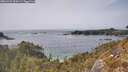 ./images/calvert/foggy-cove/20260429/foggy-cove20260429_154501M.jpg