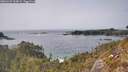 ./images/calvert/foggy-cove/20260429/foggy-cove20260429_160001M.jpg