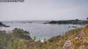 ./images/calvert/foggy-cove/20260429/foggy-cove20260429_161501M.jpg