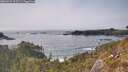./images/calvert/foggy-cove/20260429/foggy-cove20260429_163501M.jpg