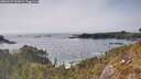./images/calvert/foggy-cove/20260429/foggy-cove20260429_164501M.jpg