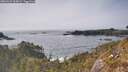 ./images/calvert/foggy-cove/20260429/foggy-cove20260429_165001M.jpg