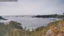 ./images/calvert/foggy-cove/20260429/foggy-cove20260429_165501M.jpg