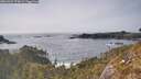 ./images/calvert/foggy-cove/20260429/foggy-cove20260429_170001M.jpg
