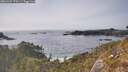 ./images/calvert/foggy-cove/20260429/foggy-cove20260429_170501M.jpg