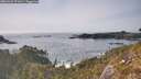 ./images/calvert/foggy-cove/20260429/foggy-cove20260429_171001M.jpg