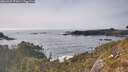 ./images/calvert/foggy-cove/20260429/foggy-cove20260429_172001M.jpg