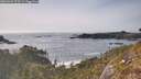 ./images/calvert/foggy-cove/20260429/foggy-cove20260429_173501M.jpg