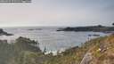 ./images/calvert/foggy-cove/20260429/foggy-cove20260429_175501M.jpg