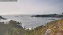 ./images/calvert/foggy-cove/20260429/foggy-cove20260429_180501M.jpg