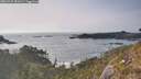 ./images/calvert/foggy-cove/20260429/foggy-cove20260429_181001M.jpg