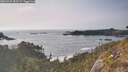 ./images/calvert/foggy-cove/20260429/foggy-cove20260429_181502M.jpg