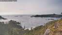 ./images/calvert/foggy-cove/20260429/foggy-cove20260429_182501M.jpg