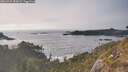 ./images/calvert/foggy-cove/20260429/foggy-cove20260429_183001M.jpg