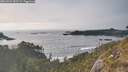 ./images/calvert/foggy-cove/20260429/foggy-cove20260429_183501M.jpg