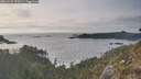 ./images/calvert/foggy-cove/20260429/foggy-cove20260429_190501M.jpg
