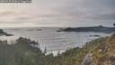 ./images/calvert/foggy-cove/20260429/foggy-cove20260429_191001M.jpg