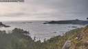 ./images/calvert/foggy-cove/20260429/foggy-cove20260429_191501M.jpg