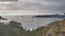 ./images/calvert/foggy-cove/20260429/foggy-cove20260429_192001M.jpg