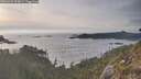 ./images/calvert/foggy-cove/20260429/foggy-cove20260429_193001M.jpg