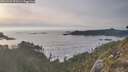 ./images/calvert/foggy-cove/20260429/foggy-cove20260429_193501M.jpg