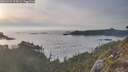 ./images/calvert/foggy-cove/20260429/foggy-cove20260429_194501M.jpg