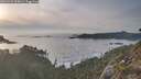 ./images/calvert/foggy-cove/20260429/foggy-cove20260429_195001M.jpg