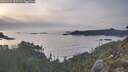 ./images/calvert/foggy-cove/20260429/foggy-cove20260429_195501M.jpg