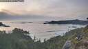 ./images/calvert/foggy-cove/20260429/foggy-cove20260429_200002M.jpg