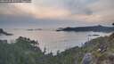 ./images/calvert/foggy-cove/20260429/foggy-cove20260429_202501M.jpg
