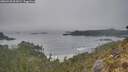 ./images/calvert/foggy-cove/20260430/foggy-cove20260430_062001M.jpg